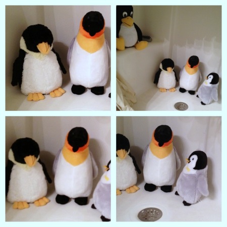2011 12-31 penguins_0009.jpg