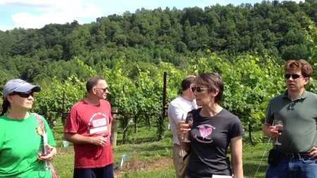 2012 06-16 ducard vineyard _0031.jpg