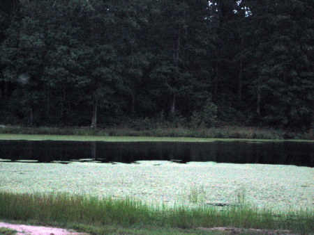 2012 08-25 tristenfest _0055 lake ruth ann.jpg
