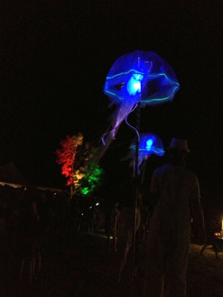 2013 07-25 floydfest at night _0005.jpg