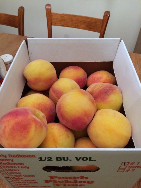 2015 08-09 to 08-13 peaches _0003.jpg