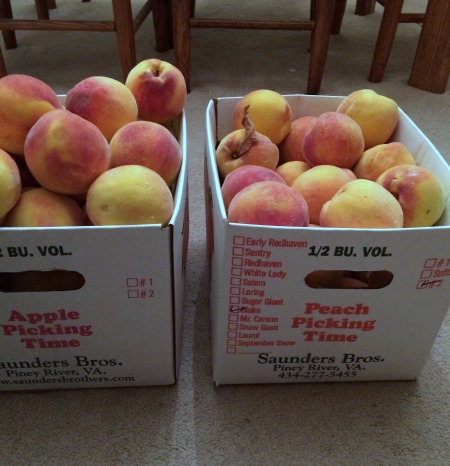 2015 08-09 to 08-13 peaches _0006.jpg