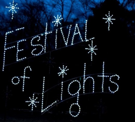 2016 12-14 festival of lights _0004.jpg