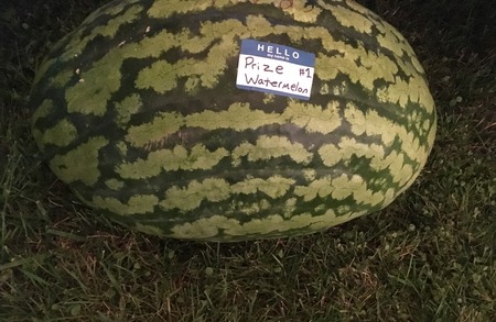 2017 09-21 watermelon park fest _0057.jpg