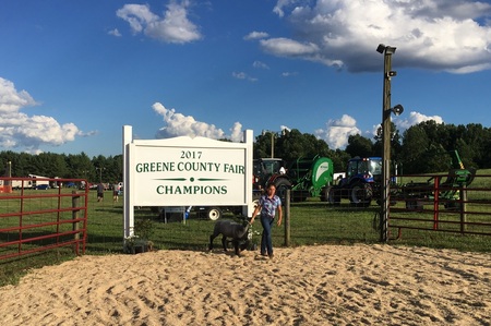 2017 greene county fair _0024.jpg