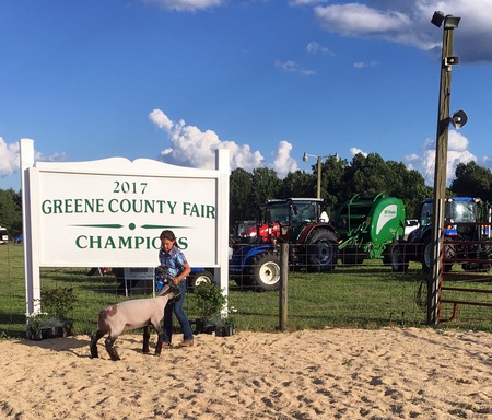 2017 greene county fair _0025.jpg