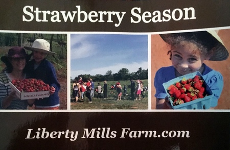 2018 05-22 liberty mills farm _0002.jpg