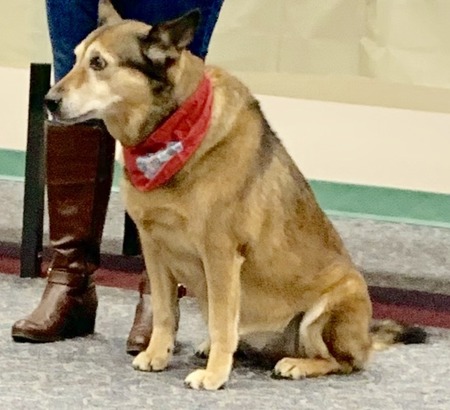 2019 01-23 therapy dogs _0001.jpg