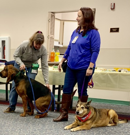 2019 01-23 therapy dogs _0003.jpg