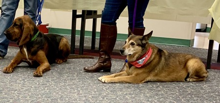2019 01-23 therapy dogs _0004.jpg