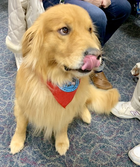 2019 01-23 therapy dogs _0005.jpg