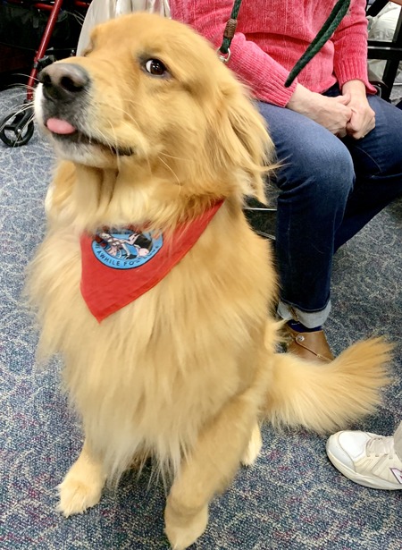 2019 01-23 therapy dogs _0007.jpg