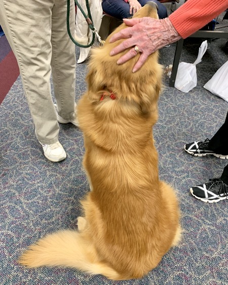 2019 01-23 therapy dogs _0008.jpg