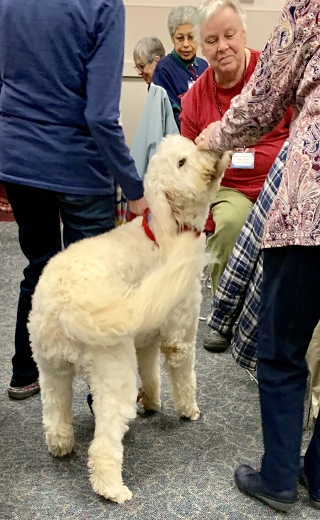 2019 01-23 therapy dogs _0009.jpg