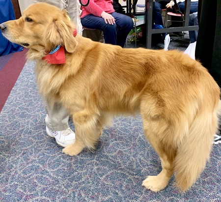 2019 01-23 therapy dogs _0010.jpg