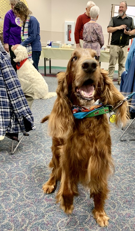 2019 01-23 therapy dogs _0013.jpg
