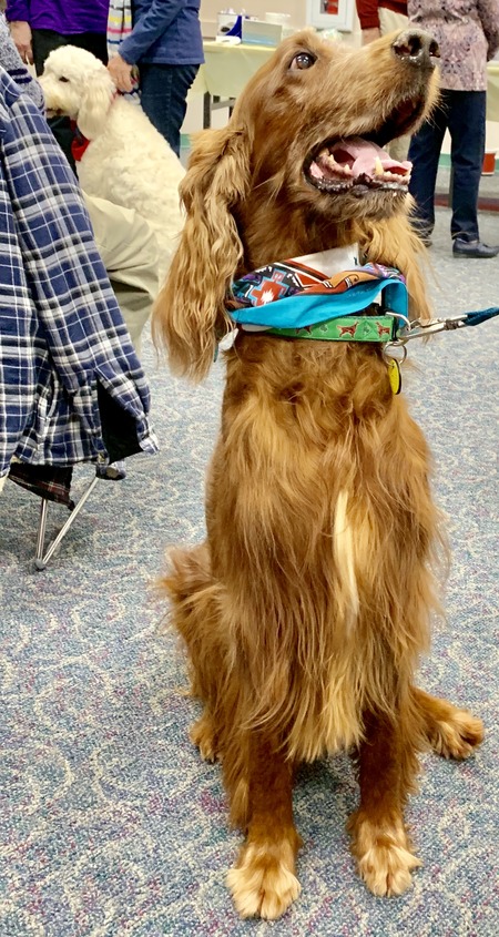 2019 01-23 therapy dogs _0014.jpg