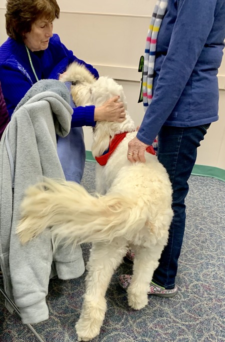 2019 01-23 therapy dogs _0017.jpg