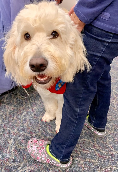2019 01-23 therapy dogs _0018.jpg