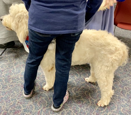 2019 01-23 therapy dogs _0019.jpg