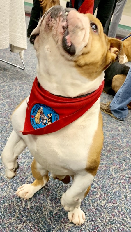 2019 01-23 therapy dogs _0023.jpg