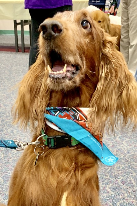 2019 01-23 therapy dogs _0028.jpg