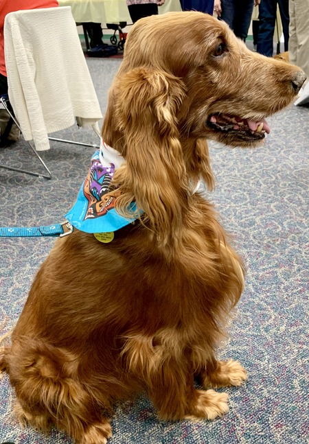 2019 01-23 therapy dogs _0029.jpg