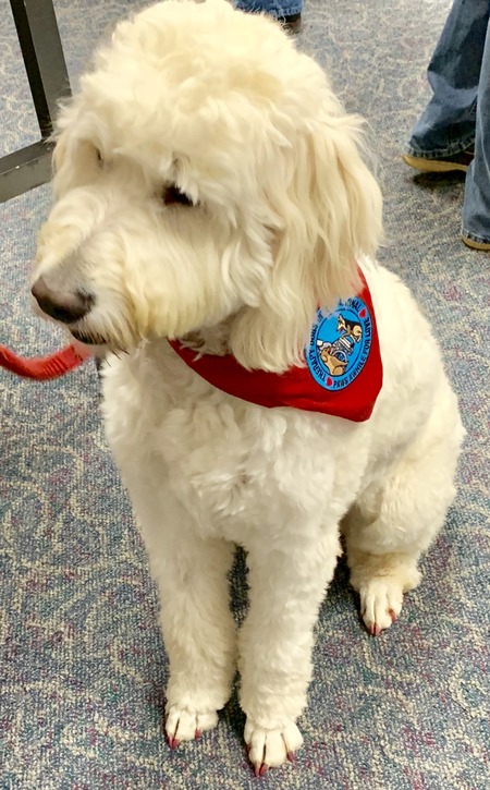 2019 01-23 therapy dogs _0031.jpg