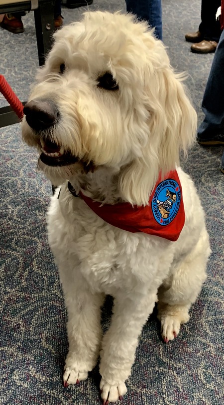 2019 01-23 therapy dogs _0032.jpg
